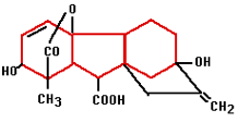 articles-planthormones_text_2