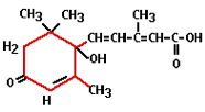 articles-planthormones_text_4