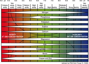 ph-nutrients-availability1-1024x740-300x216